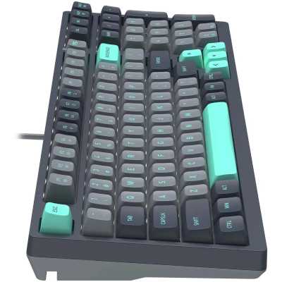 клавиатура A4Tech Fstyler FS300 Panda Rock Черный-серый
