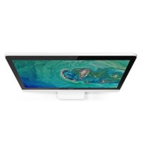 моноблок Acer Aspire C20-820 DQ.BC4ER.003 Белый
