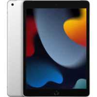 планшет Apple iPad 2021 10.2 Wi-Fi+Cellular 256Gb Silver MK4H3RU/A