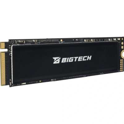 SSD диск BigTech 256Gb BSDS256ME Черный