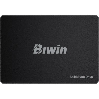 SSD диск Biwin M100 1Tb BM100NN01TB-RGX Черный