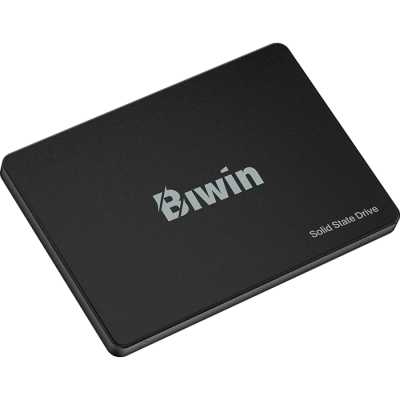 SSD диск Biwin M100 256Gb BM100NN256G-RGX Черный