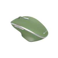 мышь Canyon MW-21 CNS-CMSW21SM Зеленый