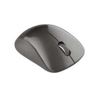 мышь Canyon Pixart MW-911 CNS-CMSW911DG Серый
