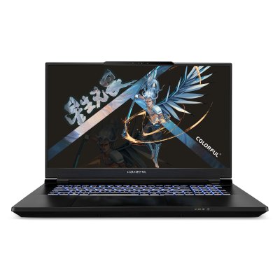 ноутбук Colorful EVOL X17 Pro Max A10003400459 Серый