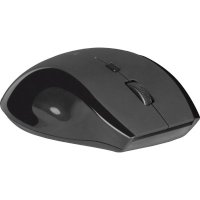 мышь Defender Accura MM-295 Black Черный