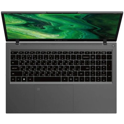 ноутбук Digma Pro Fortis M DN17P5-ADXW02 Серый