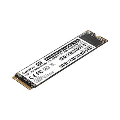 SSD диск ExeGate NextPro+ KC2000TP2TB 2Tb EX295282RUS Черный
