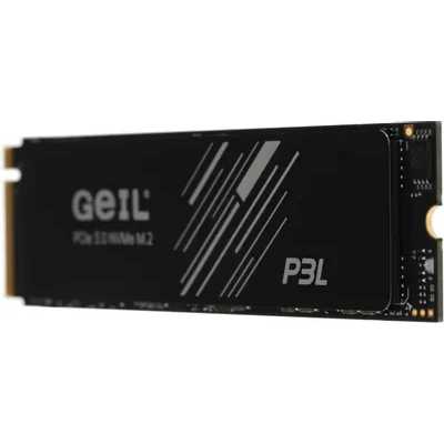 SSD диск GeIL P3L 4Tb P3LFD16I4TBA Черный