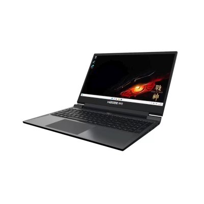 ноутбук Hasee S8 D62654FH Черный