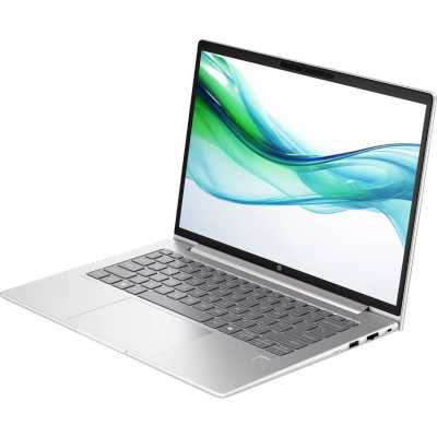 ноутбук HP ProBook 445 G11 A1RM4UT Серебристый