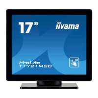 монитор Iiyama ProLite T1721MSC-B1 Черный