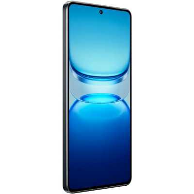 смартфон iQoo Neo 10 12/256GB Obsidian черный