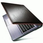 ноутбук Lenovo IdeaPad Y570 59312461 Коричневый