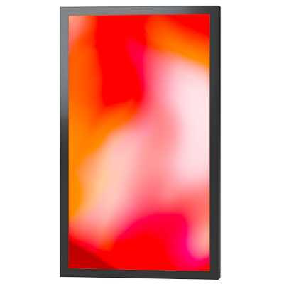 профессиональный дисплей Lumien Outdoor 02 LOS7502UHD