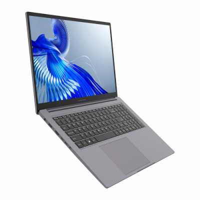 ноутбук Maibenben P725 P7251SG0HGRE0 Серый