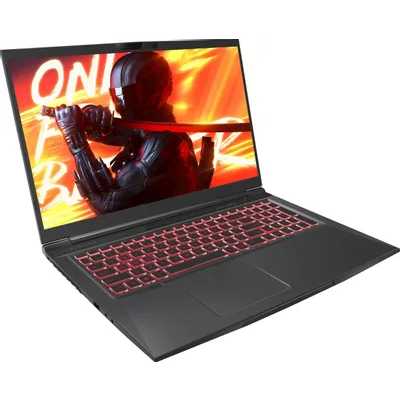 ноутбук Maibenben X725 X725FSFNLBRE0 Черный