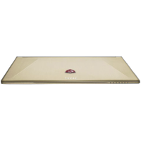 ноутбук MSI GS60 2QE-296 9S7-16H515-296 Золотой