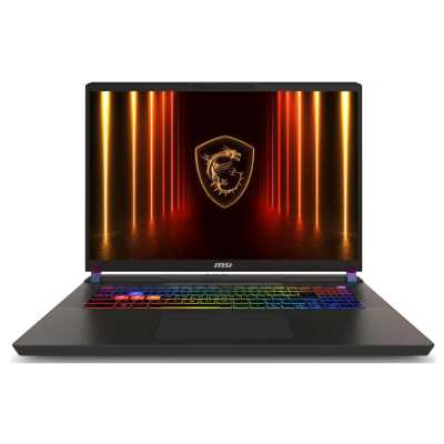 ноутбук MSI Vector 17 HX AI A2XWIG-220XRU Серый