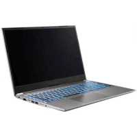 ноутбук Nerpa Caspica A752-15AC085202G Серый