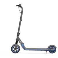электросамокат Ninebot eKickScooter Zing E10 AA.00.0002.32