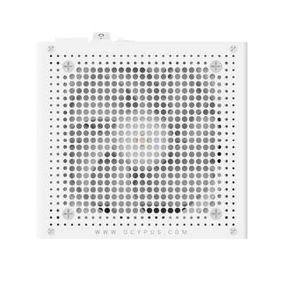 блок питания Ocypus Delta P850 White Белый
