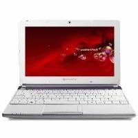 нетбук Packard Bell DOTS-C-261G32nuw NU.C0CER.004 Фиолетово-Белый