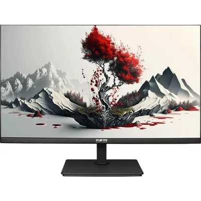 монитор RDW Computers 2401K/F00В3100V2A1H Черный