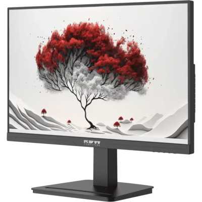 монитор RDW Computers 2401K/F08В0120V2A1 Черный