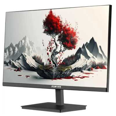 монитор RDW Computers 2401K/F08В3120V2A1 Черный