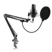 микрофон Ritmix RDM-169 Black Черный