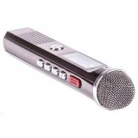 диктофон Ritmix RR-150 8Gb Black