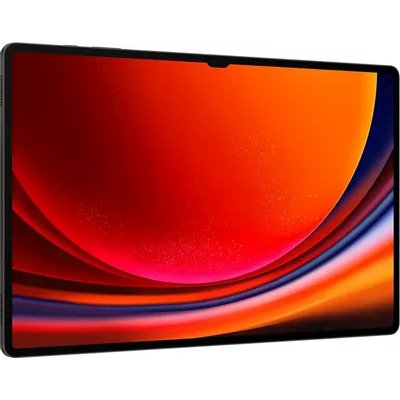планшет Samsung Galaxy Tab S9 Ultra 5G SM-X916BZAICAU