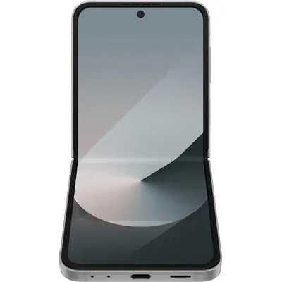 смартфон Samsung Galaxy Z Flip 6 12/512GB Grey SM-F741BZSHSKZ
