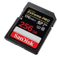 карта памяти SanDisk 256GB SDSDXXY-256G-GN4IN