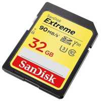 карта памяти SanDisk 32GB SDSDXVE-032G-GNCI2