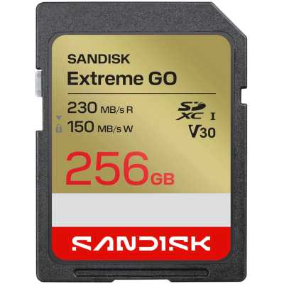 карта памяти SanDisk Extreme Go 256GB SDSDXGN-256G-GNCIN