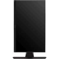 монитор ViewSonic XG251G Черный