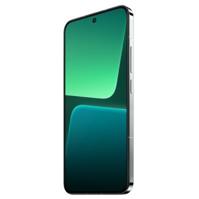 смартфон Xiaomi 13 12/256GB Flora Green зеленый